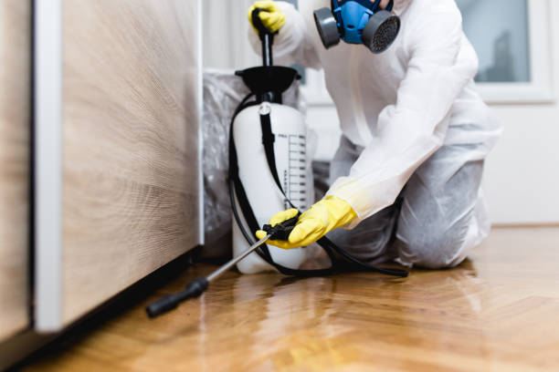 Best Affordable Exterminators  in Shelbyville, TN