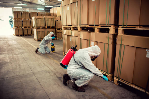 Best Termite Control Services  in Shelbyville, TN