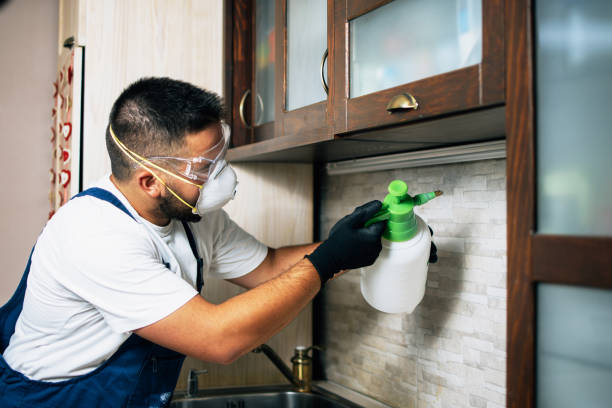 Professional Pest Control in Shelbyville, TN