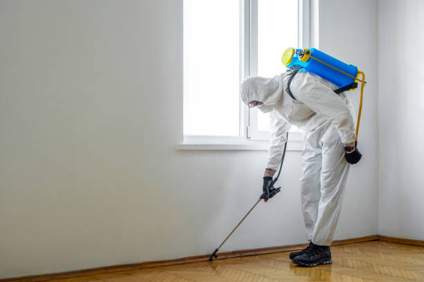 Insect Control in Shelbyville, TN