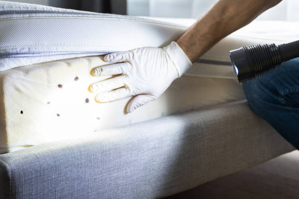 Best Best Pest Control Companies  in Shelbyville, TN