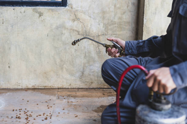 Best Mosquito Control Services  in Shelbyville, TN