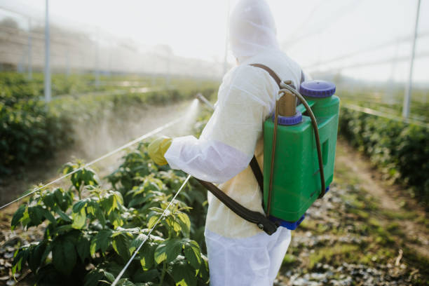 Trusted Shelbyville, TN Pest Control Experts